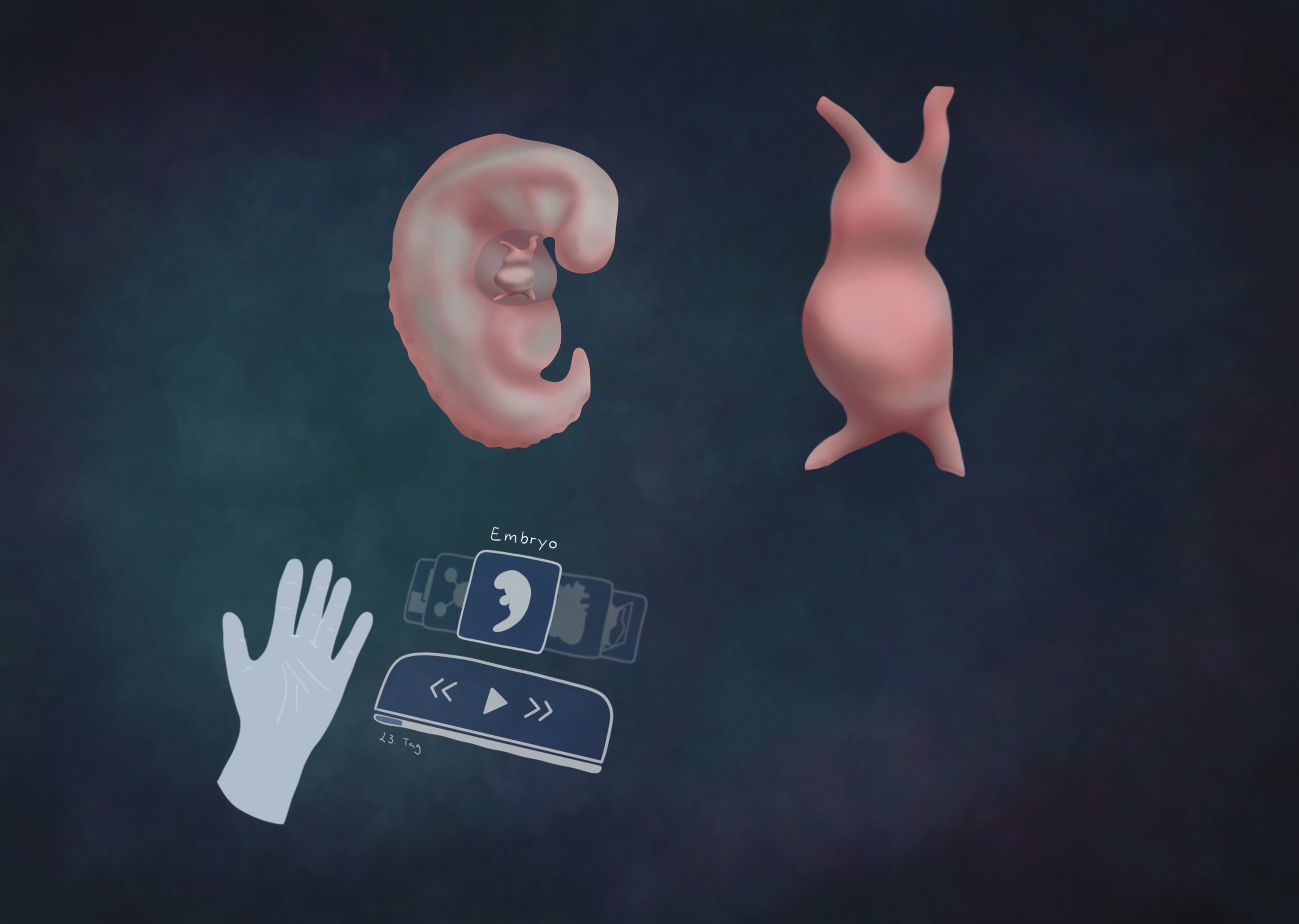 Unterstützendes Lernen der embryonalen Herzentwicklung mit Hilfe von Virtual Reality